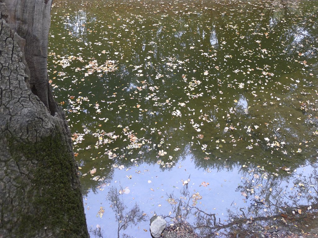 Napa 034